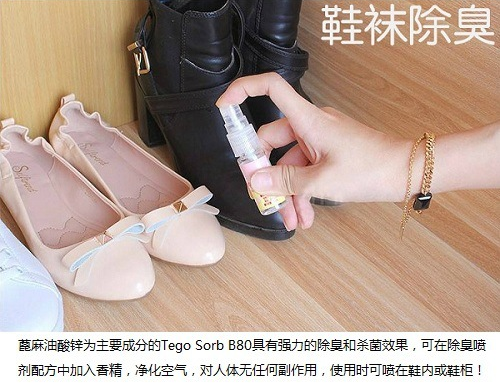 TEGO Sorb B80赢创蓖麻油酸锌宠物鞋袜子除臭剂喷雾 第3张 TEGO Sorb B80赢创蓖麻油酸锌宠物鞋袜子除臭剂喷雾 第3张