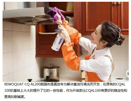REWOQUTE CQ AL200赢创脱脂剂重油污清洗剂家庭清洁剂 第3张 REWOQUTE CQ AL200赢创脱脂剂重油污清洗剂家庭清洁剂 第3张