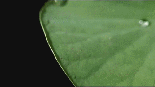 赢创TEGO Polish Additive Q70 季铵盐汽车快速驱水剂 第5张 赢创TEGO Polish Additive Q70 季铵盐汽车快速驱水剂 第5张